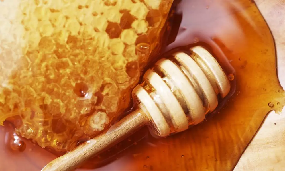 How to Buy Mad Honey and Elevate Your Senses