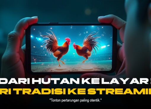 Mengenal Jenis Ayam Laga dan Odds Terbaik di SV388 Sabung Ayam