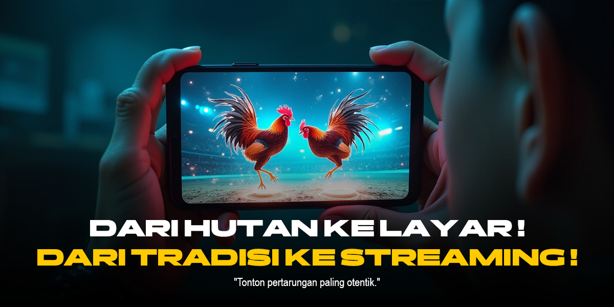Mengenal Jenis Ayam Laga dan Odds Terbaik di SV388 Sabung Ayam