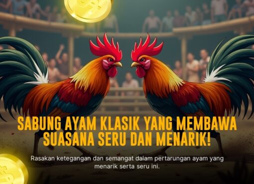 Kenali Ayam Bangkok, Raja Sabung Ayam dan Peluang Taruhannya
