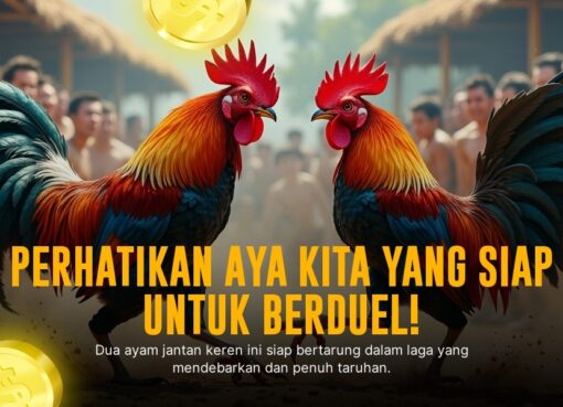 Mengenal Jenis Ayam Bangkok dalam Sabung Ayam SV388