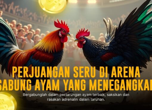 Mengenal Ayam Bangkok: Raja Sabung Ayam Paling Dicari