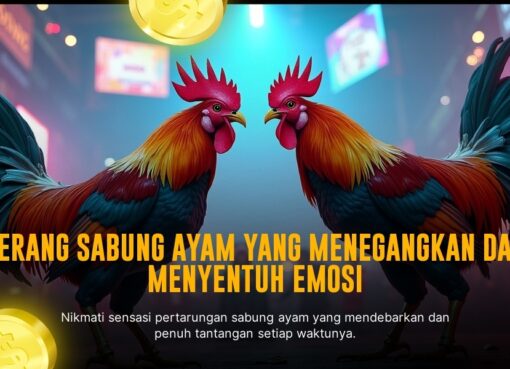 Menilik Jenis Ayam Bangkok dalam Sabung Ayam SV388