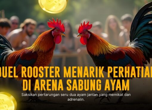 Mengenal Jenis Ayam Bangkok dalam Sabung Ayam SV388