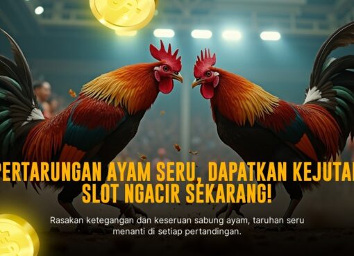 Keunggulan Sabung Ayam S128 dan Strategi Menang Taruhan