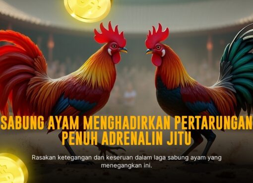 Kenali Jenis Ayam Laga Dalam Sabung Ayam SV388