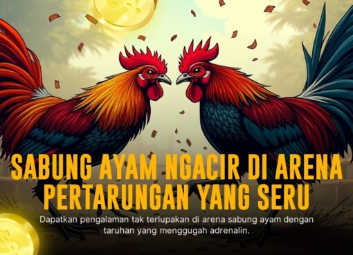 Rahasia Ayam Bangkok: Jenis Unggulan di Dunia Sabung Ayam